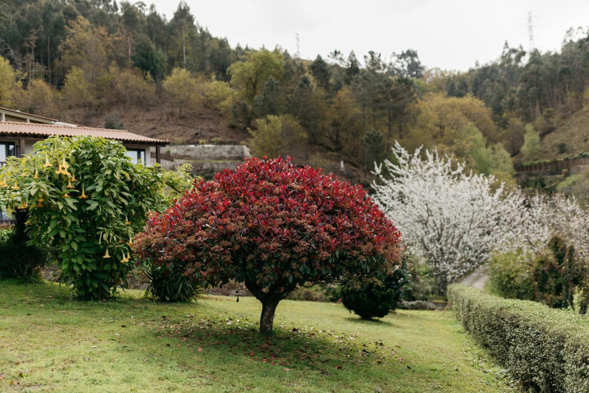 Quinta Do Bento Hotel Vieira do Minho Exterior foto