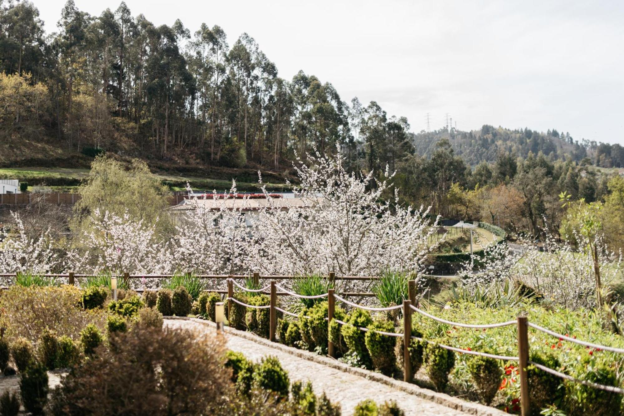 Quinta Do Bento Hotel Vieira do Minho Exterior foto